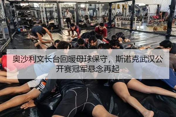 ao-sha-li-wen-zhang-tai-hui-nuan-mu-qiu-bao-shou-si-nuo-ke-wu-han-gong-kai-sai-guan-jun-xuan-nian-zai-qi-2-170.jpg