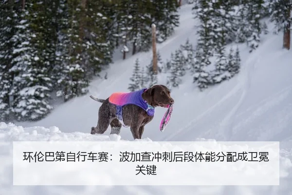 环伦巴第自行车赛：波加查冲刺后段体能分配成卫冕关键